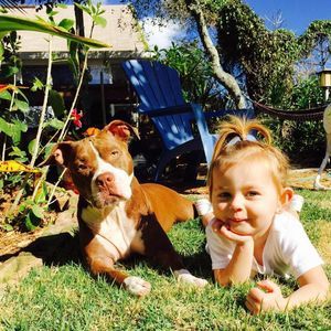 Meet your Posher, Greg